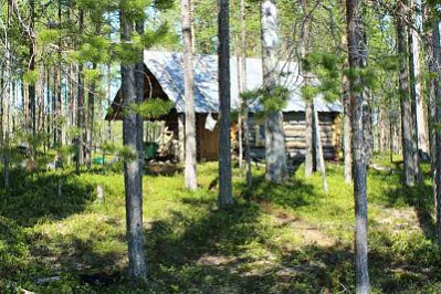 Аренда избы № 471